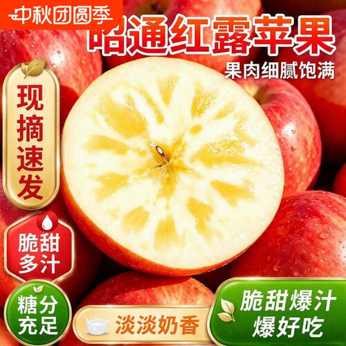 现货云南昭通红露苹果新鲜现摘当季新水果丑苹果冰糖心富士礼盒