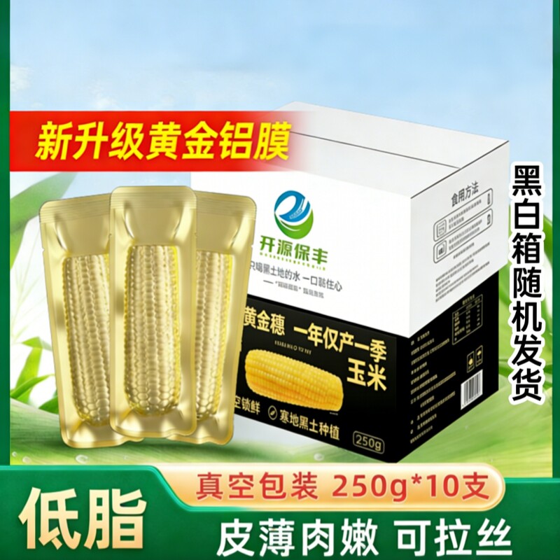 正宗东北新鲜黄糯玉米软糯拉丝独立真空包装寒地黑土一年一季