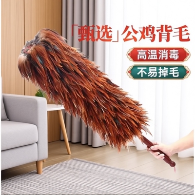 鸡毛掸子家居清洁除尘掸可伸缩