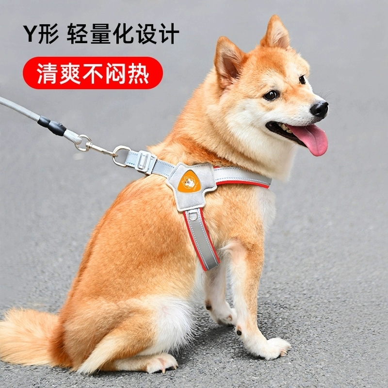 【养宠达人推荐】中小型犬牵引绳
