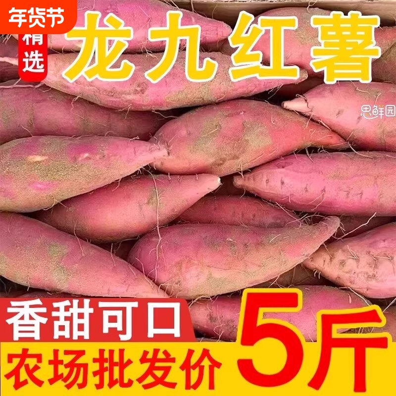 河南板栗红薯新鲜沙地蜜薯龙九地瓜蔬菜农家自种现挖现发农场番薯