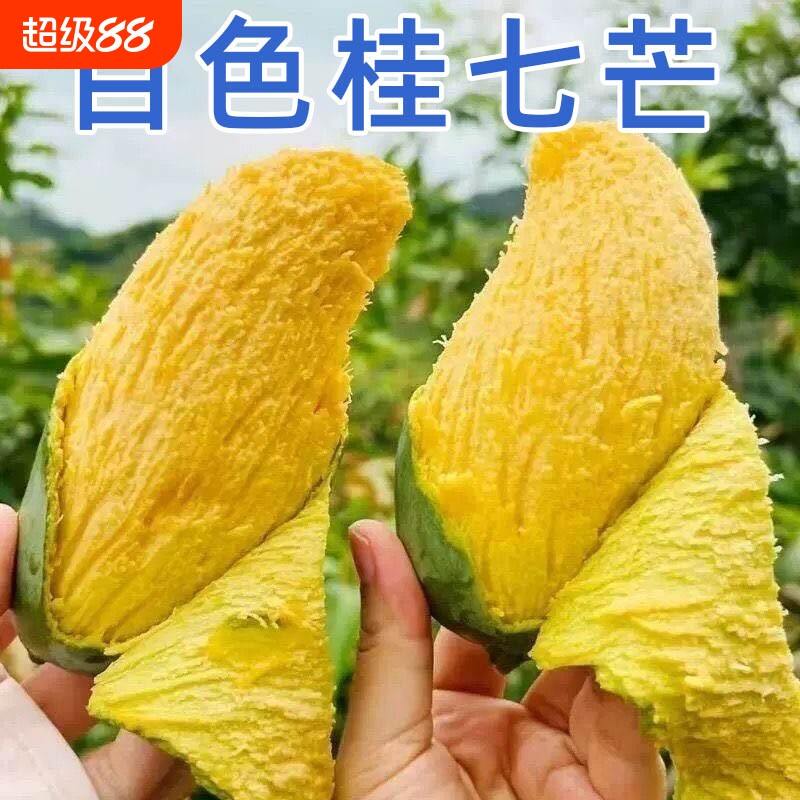 正宗广西百色田东桂七芒果新鲜当季水果现摘青皮芒果包邮果香浓郁