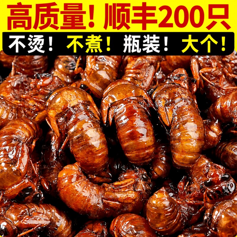 知了猴金蝉新鲜杜仲特产2026活虫鲜活冷冻大爬叉猴结了龟蛹生鲜