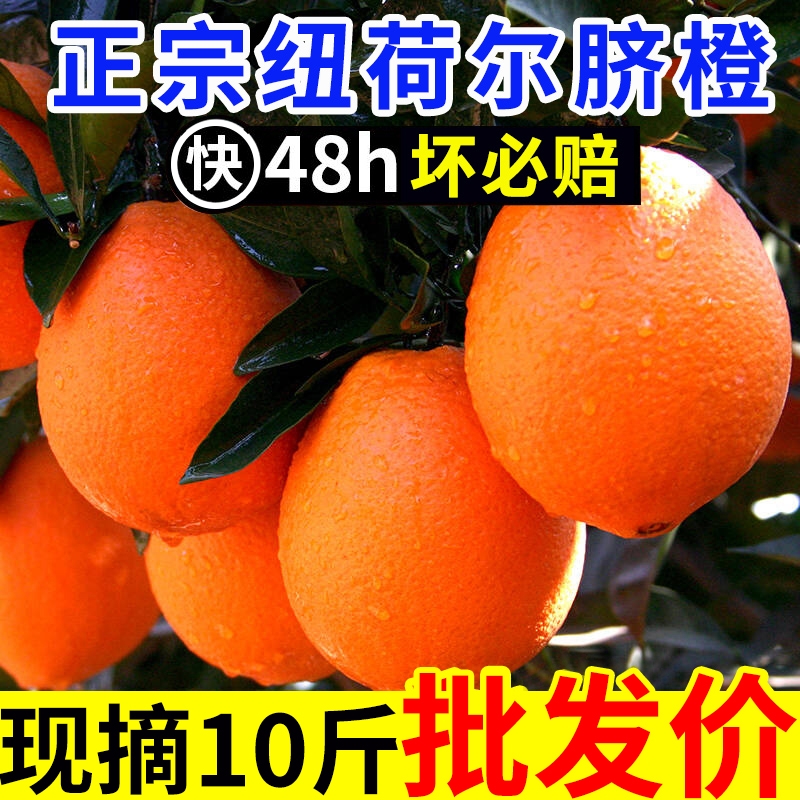 正宗纯甜纽荷尔脐橙子新鲜水果非江西赣州赣南当季大果批发现摘