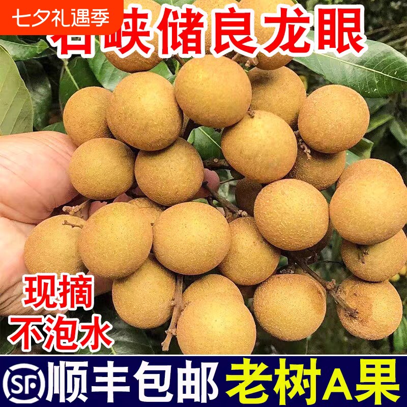 【顺丰包邮】正宗储良龙眼现摘大果鲜甜整箱孕妇当季时令蔬果鲜嫩