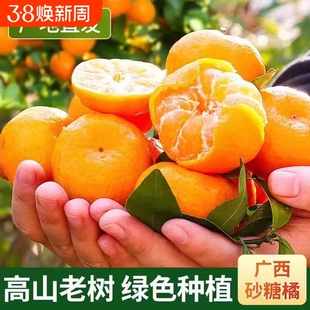 广西砂糖橘子新鲜无籽沙糖桔小橘子蜜桔柑橘水果金秋爆汁年货节