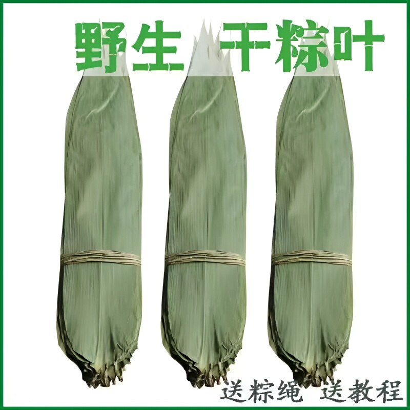 干粽叶新鲜粽子叶大号棕叶家用竹叶包粽子的粽叶特大码叶子斑斓叶
