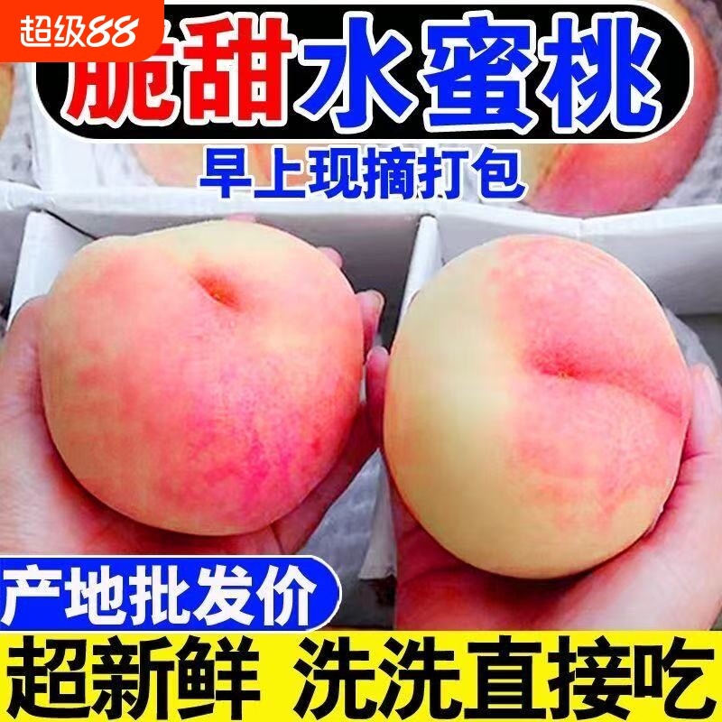 山西脆甜水蜜桃桃子毛桃新鲜应季孕妇水果脆甜桃蜜桃整箱批发现摘