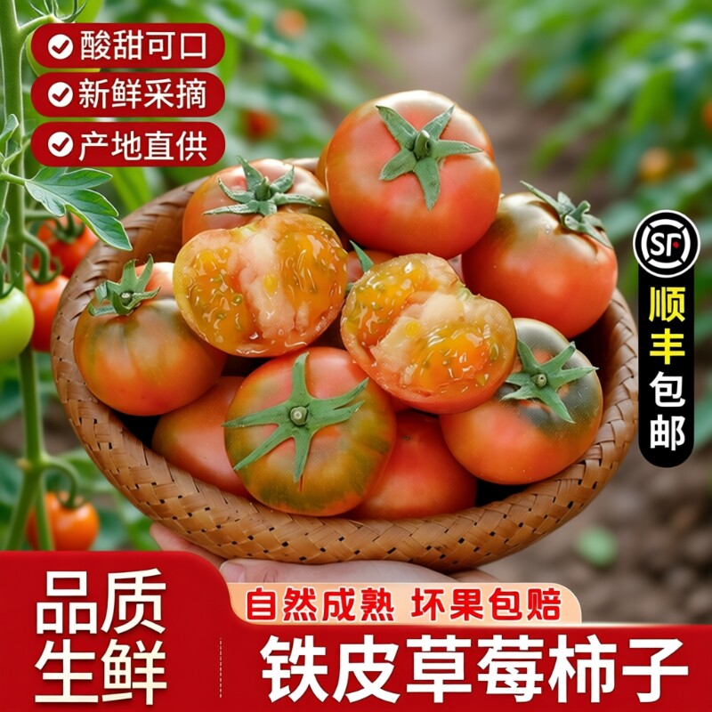 丹东草莓柿子番茄铁皮柿子新鲜生吃西红柿自然熟正宗东北顺丰生鲜
