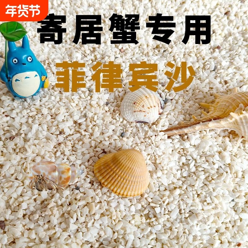 寄居蟹珊瑚天然热带鱼小沙沙滩海底世界酸洗草缸假山文玩石贝壳沙