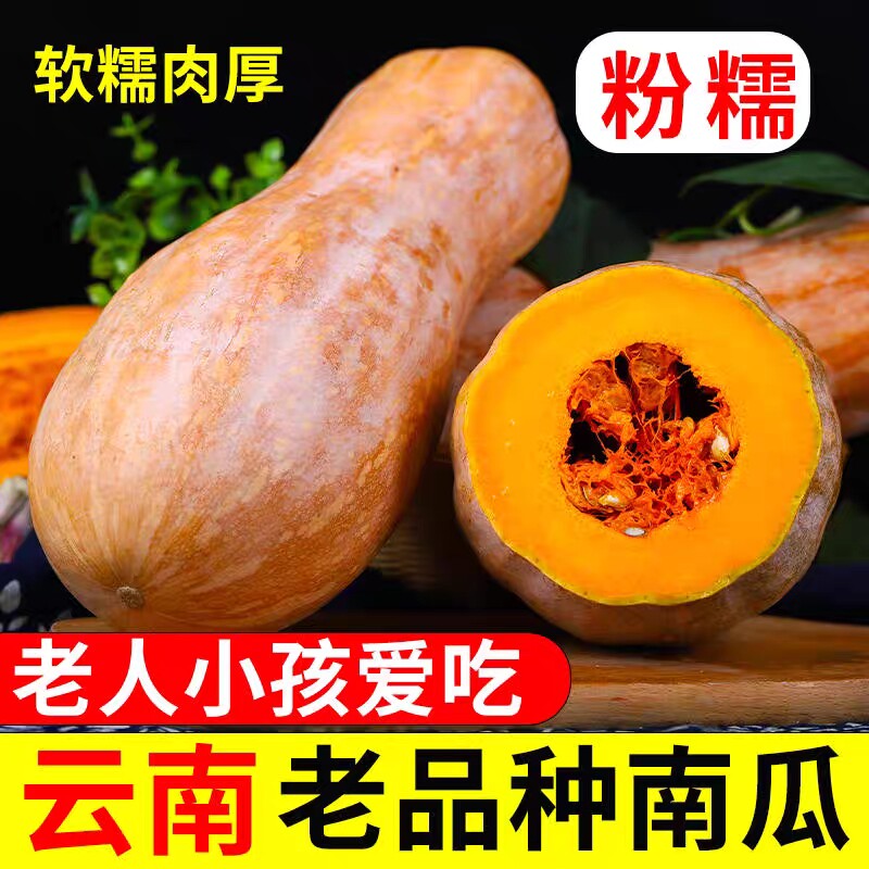 云南新鲜板栗牛奶老南瓜当季蔬菜宝宝辅食农家自种老品种南瓜包邮