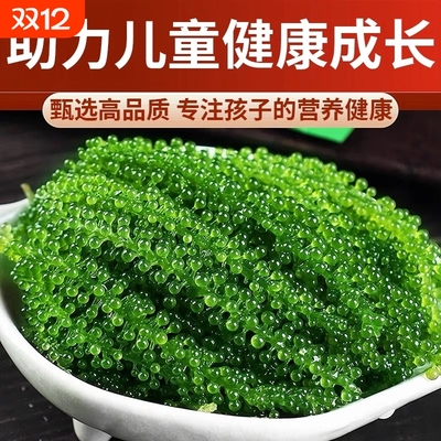 【开袋即食】儿童海葡萄无添加