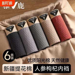 内裤 四角平角短裤 男款 抗菌大码 衩BK 纯棉高档男生2026新款 雅鹿男士