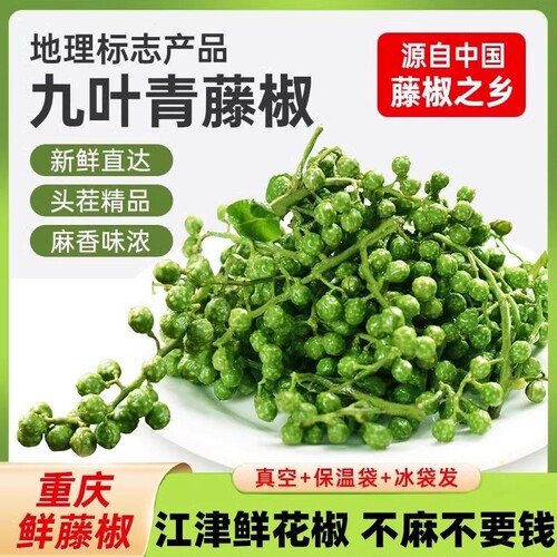 重庆江津新鲜青花椒冷冻真空保鲜