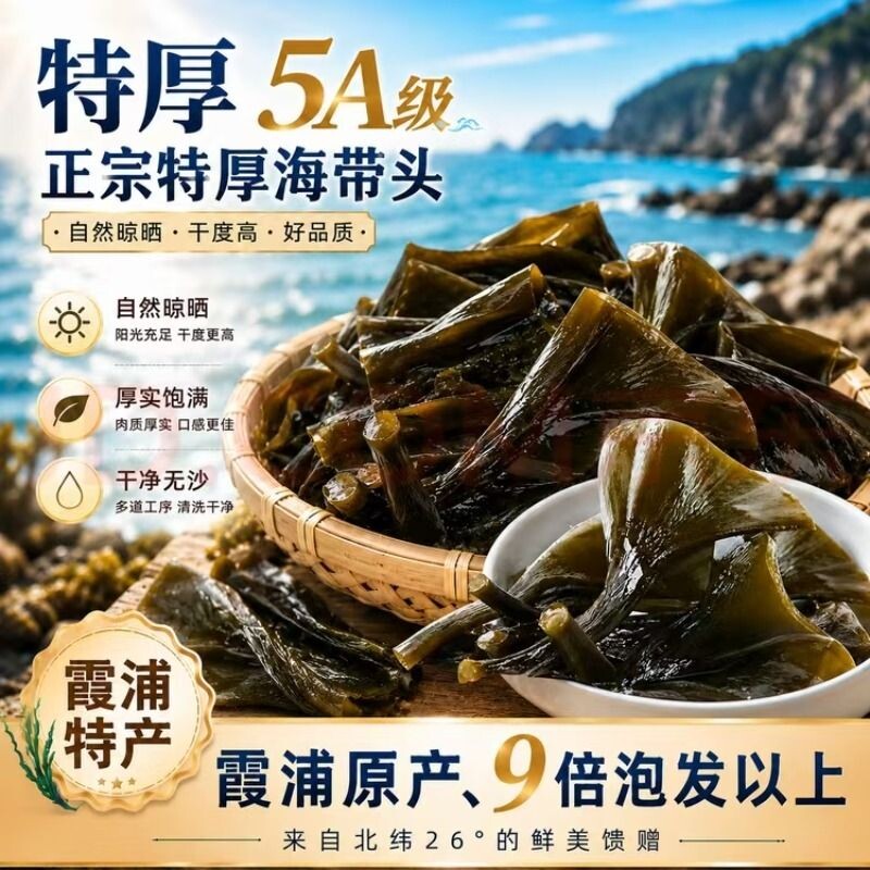 干海带头霞浦正宗新鲜纯海带图片