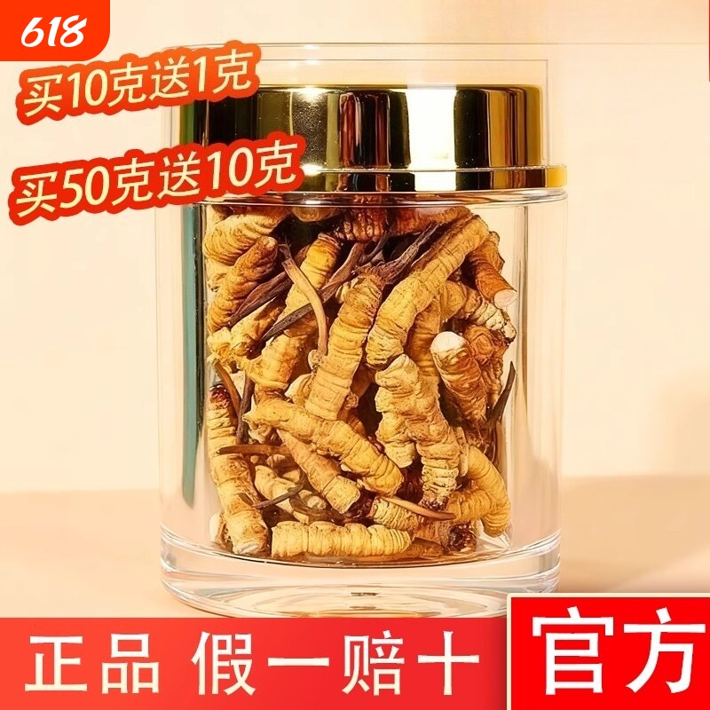 高海拔那曲特级冬虫夏草大断草新货头期干刷官方正品正宗假一赔十