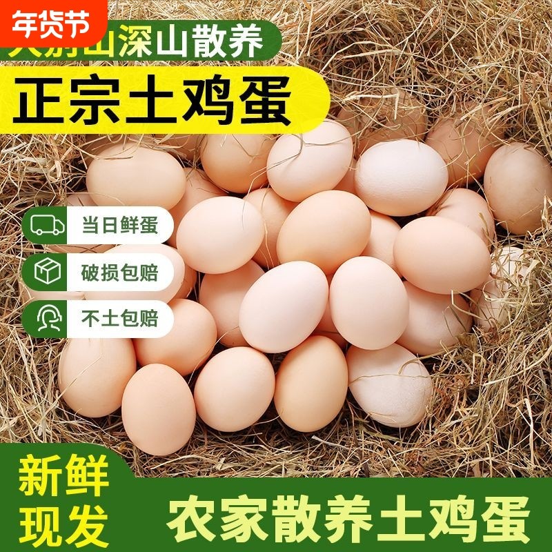 优冠山10枚正宗土鸡蛋新鲜鸡蛋散养现发虫草柴鸡蛋幼儿鸡蛋羹农场,水产肉类/新鲜蔬果/熟食,鸡蛋,淘宝优惠券,粉丝福利购,淘宝优惠卷