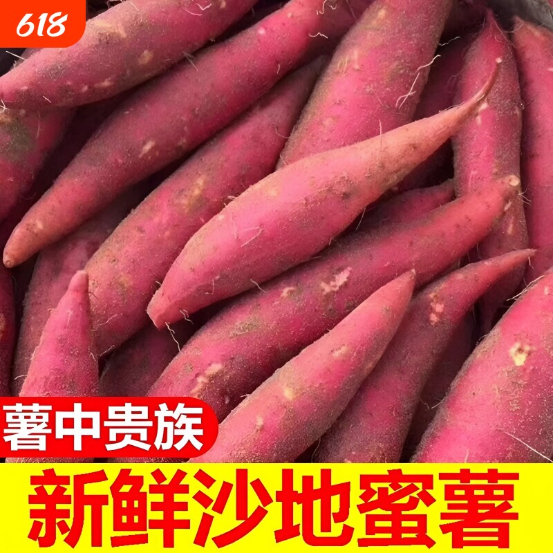 蜜薯种子红薯种地瓜番薯育苗种烟西瓜红红心地瓜新鲜沙地