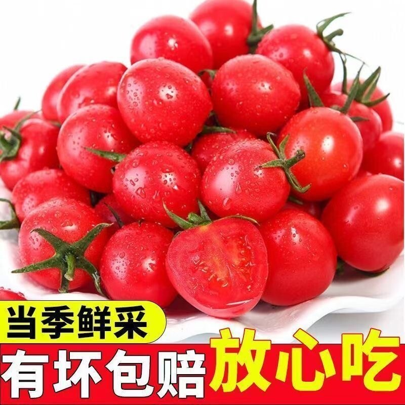 ����ǧ��ʥŮ��С��������5���и�ˮ�������߲����������������� 1g ʥŮ����ѡ5���ĭ���Ĺ��� 20.89Ԫ