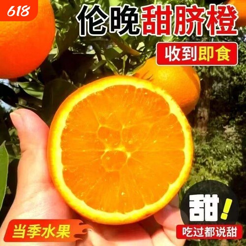 正宗伦晚脐橙秭归手剥橙子新鲜皮薄多汁现摘无籽薄皮孕妇当季水果