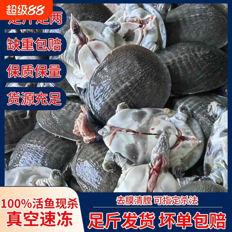 甲鱼杀后净重外塘鲜活宰杀大小老鳖滋补公母中华鳖食用麻辣冷冻图片