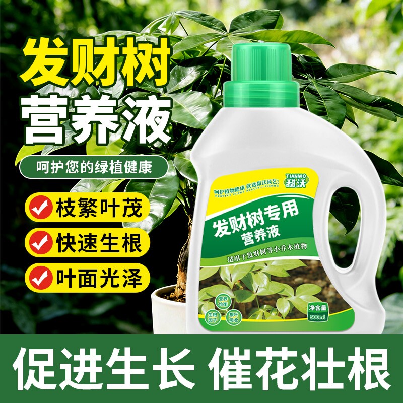 发财树营养液肥料专用肥专治烂根掉叶室内盆栽绿植物花肥通用种植
