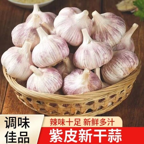金乡大蒜2026新干蒜农家大蒜头紫白皮新干蒜农家自种蒜种籽旗舰店