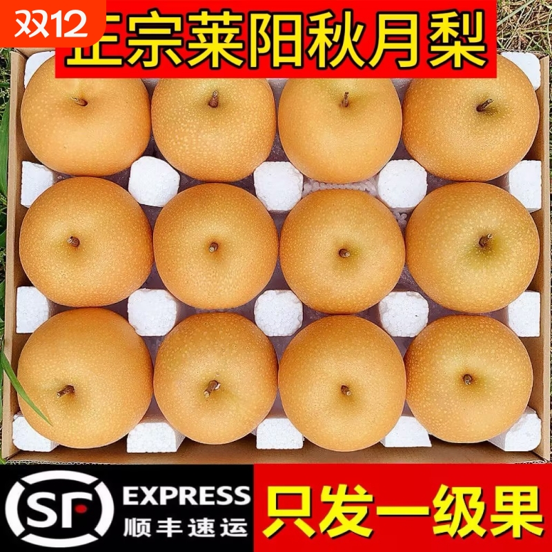 秋月梨正宗山东莱阳大果新鲜水果当季整箱脆甜新鲜梨礼盒鲜榨果汁
