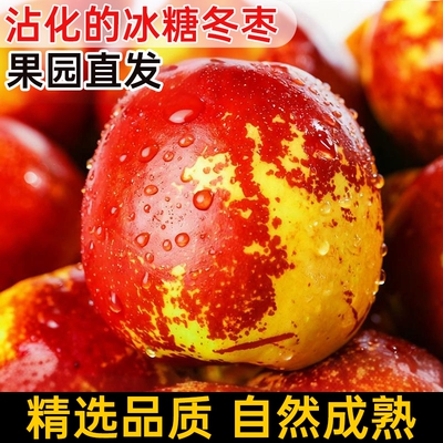 山东新鲜冬枣脆甜大果鲜枣当季水果皮薄特大冰糖现摘非沾化青枣