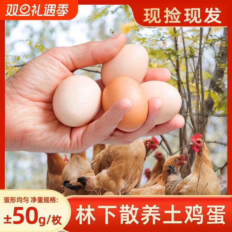 农家散养土鸡蛋正宗湖北大别山林下谷物喂养鲜鸡蛋农场直发鸡蛋