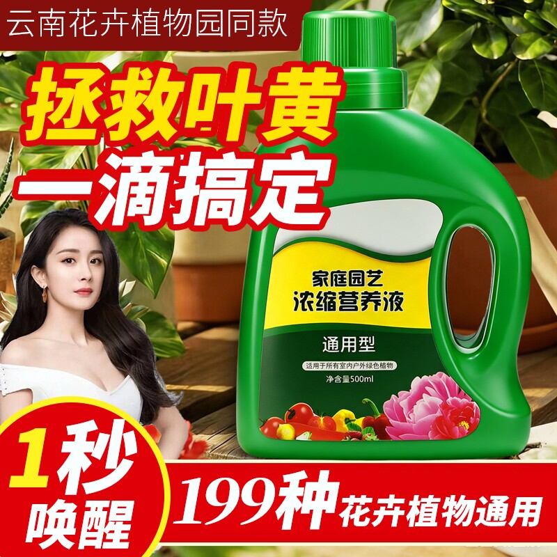 植物营养液富贵竹绿植通用型绿萝水培养花卉盆栽花肥料室内浓缩