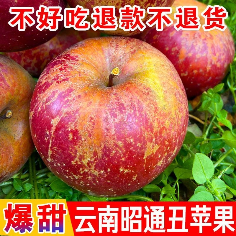云南昭通市丑苹果5斤冰糖心苹果红富士水果整箱新鲜礼盒绍通包邮
