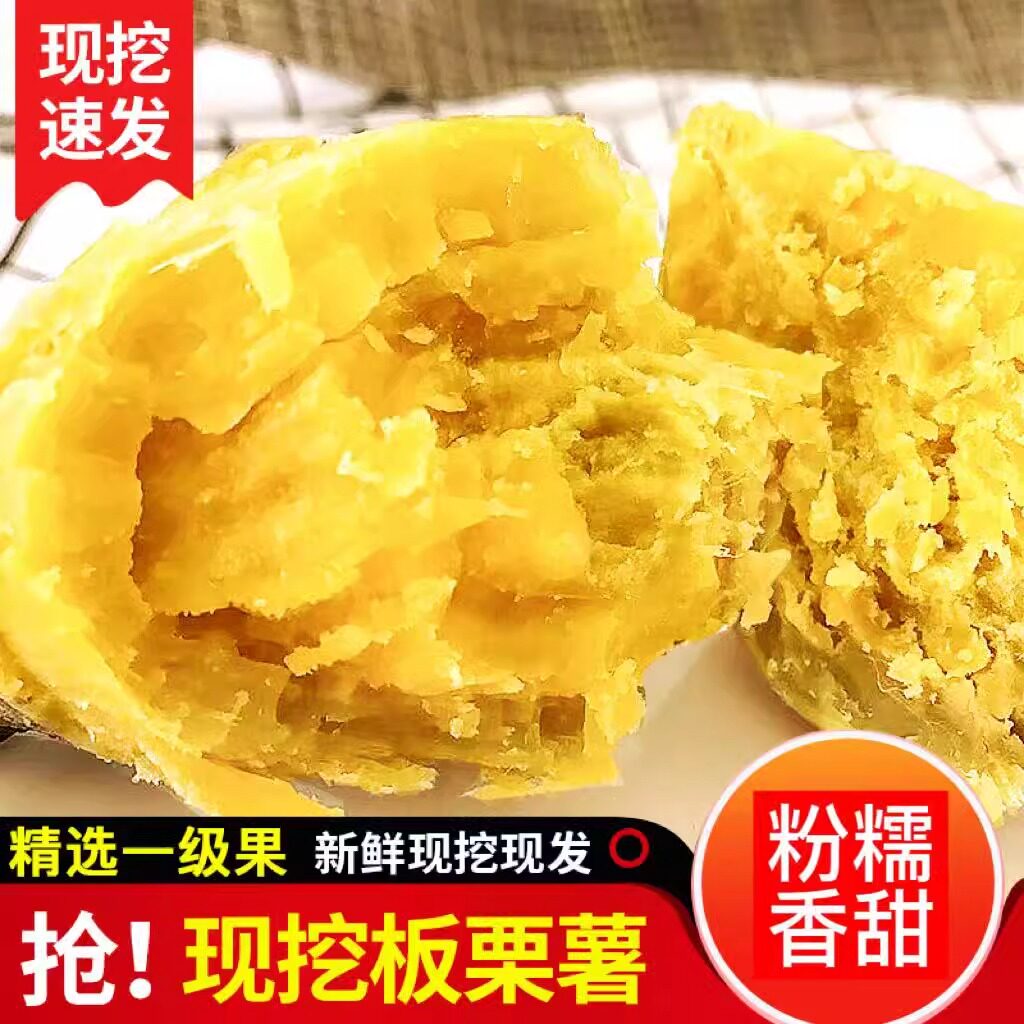 正宗板栗红薯新鲜农家自种现挖