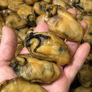 半干生晒台山金蚝王牡蛎蚝豉干生蚝干海蛎子深井蚝不抽油非湛江蚝