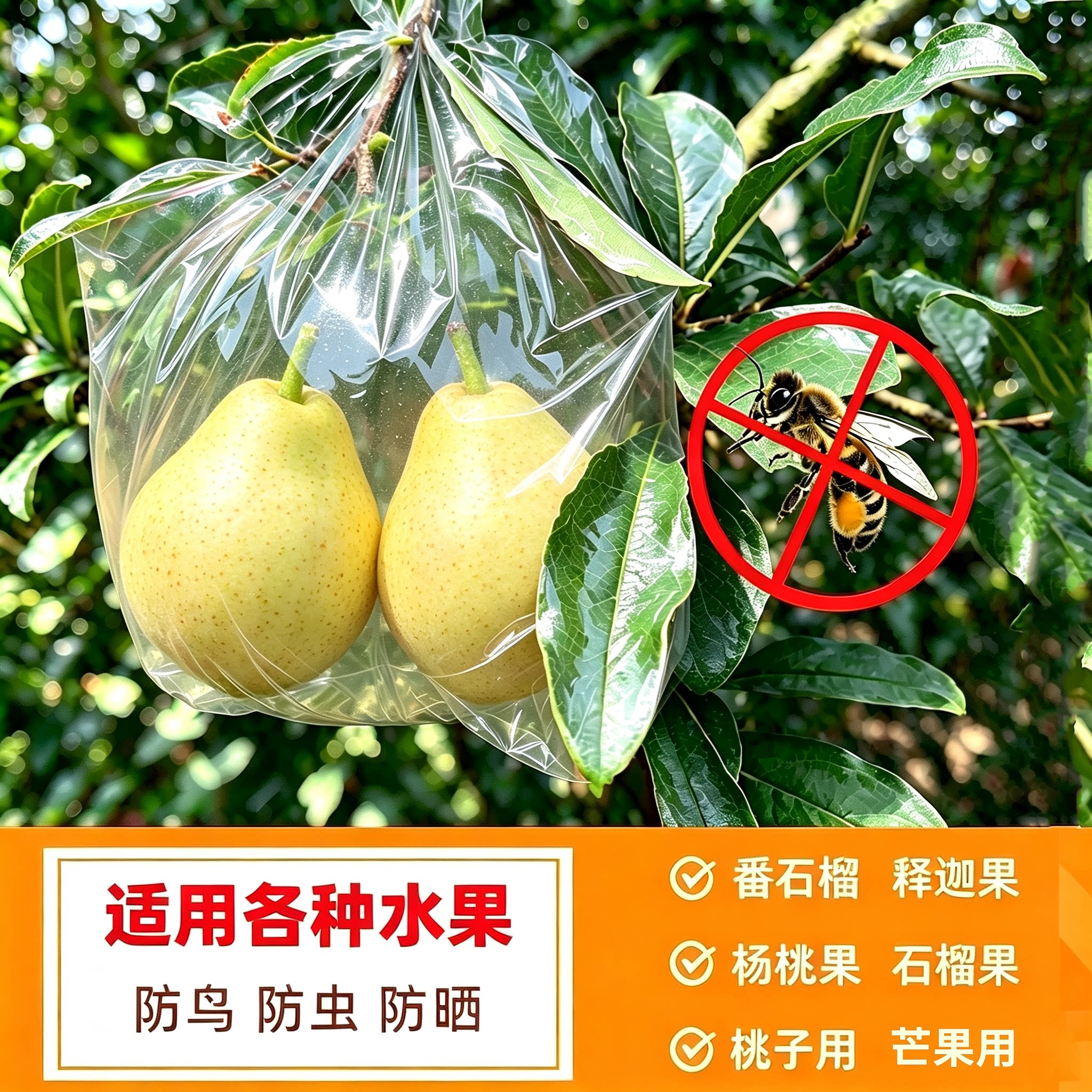 大号杨桃防虫袋杨桃套袋防虫专用袋水果套袋促生长透明保护薄膜袋