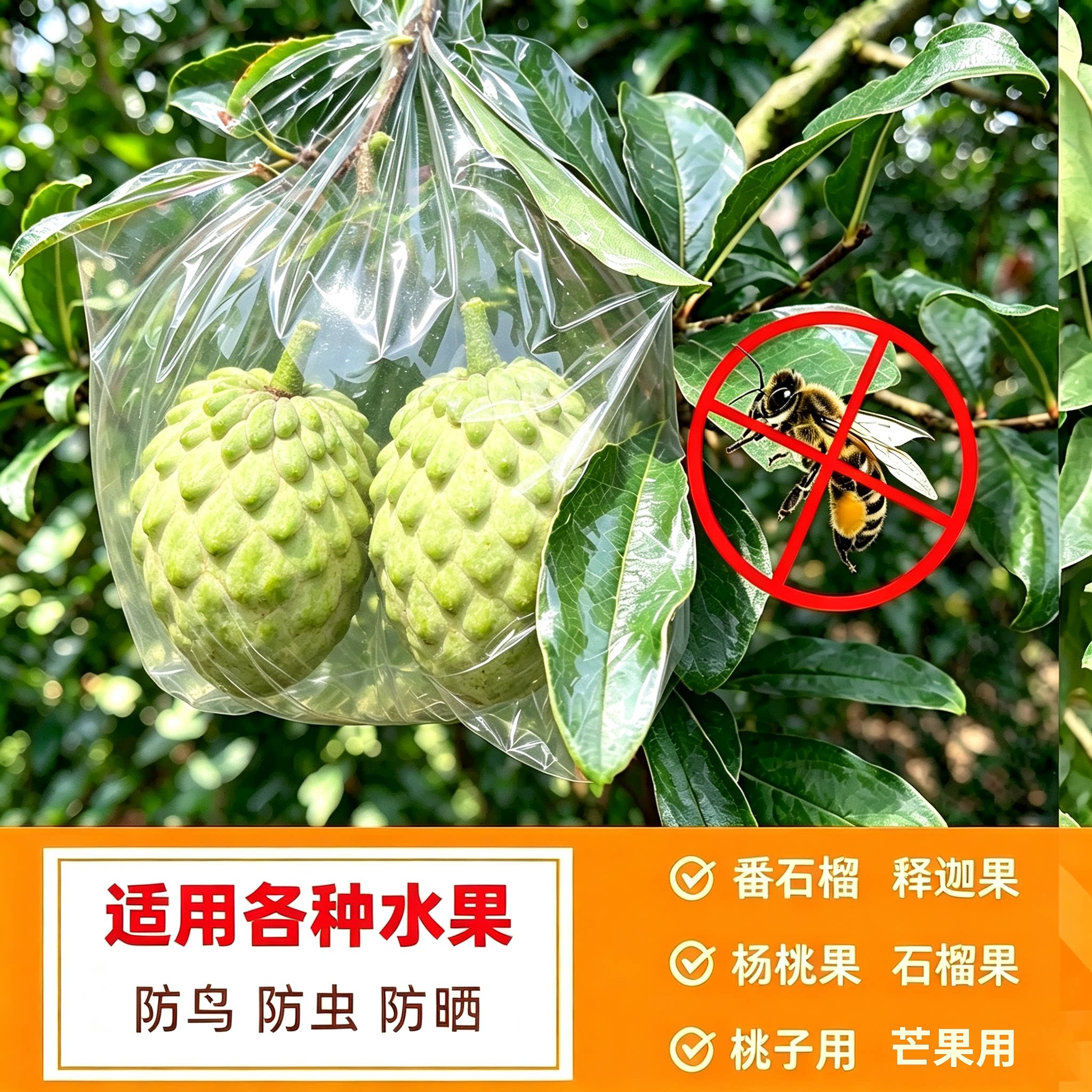 大号杨桃防虫袋杨桃套袋防虫专用袋水果套袋促生长透明保护薄膜袋