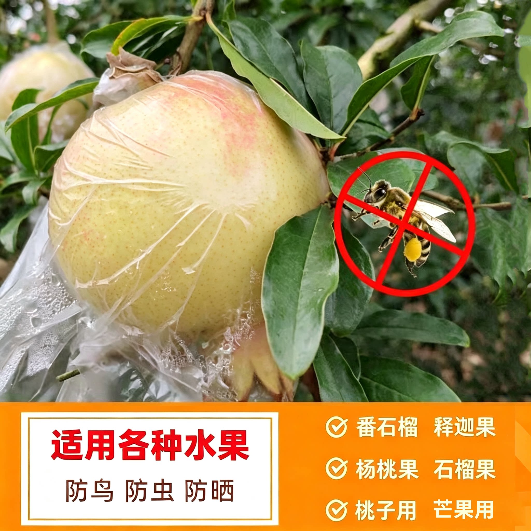 大号石榴苹果杨桃防虫袋套袋防虫专用袋水果生长透明保护薄膜