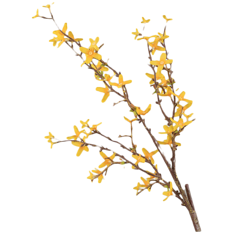 室内客厅样板间假花