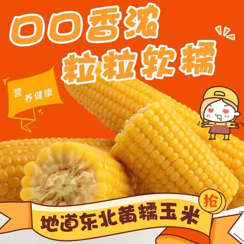 新鲜黑龙江粘糯玉米包邮冷藏