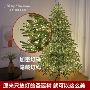 圣诞节装饰品led灯串灯饰圣诞树氛围彩灯带场景布置拍摄道具挂件