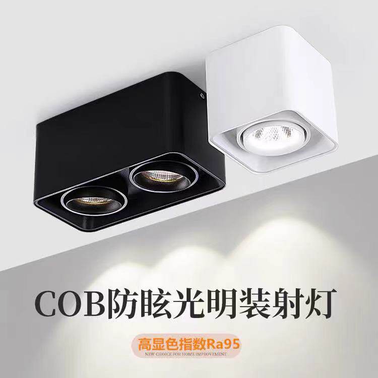 客厅照明双头过道吸顶明装筒灯