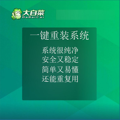 大白菜系统U盘纯净版本一键装机