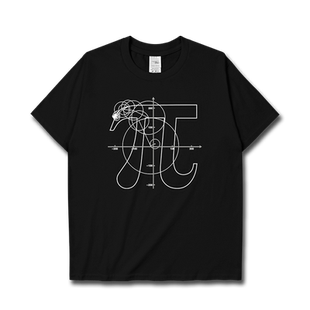 圆周率经典数学公式学霸初高中学生短袖T恤男女学科潮衣服设 无界