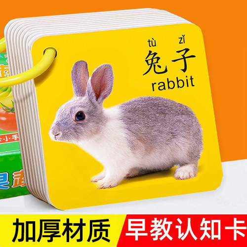 动物早教看图识物益智玩具卡片