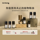 DrWong香薰精油加湿器专用天然植物香氛扩香香薰家用室内留香持久