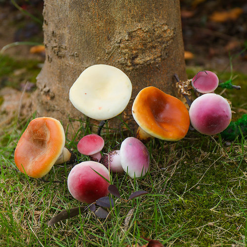 仿真蘑菇田园摆件森系户外装饰