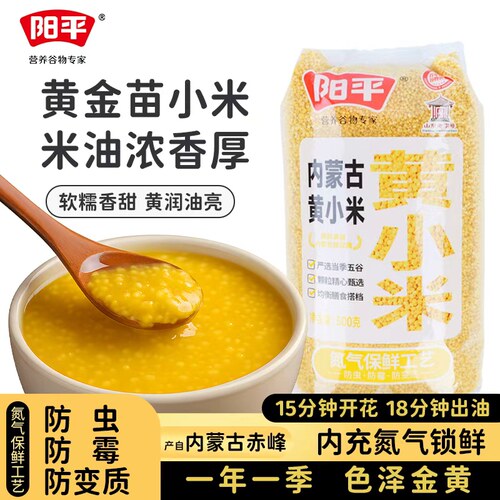 阳平黄金苗黄小米500g