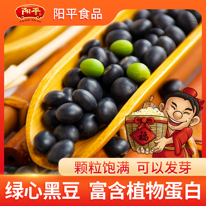 阳平小黑豆500g当季新货