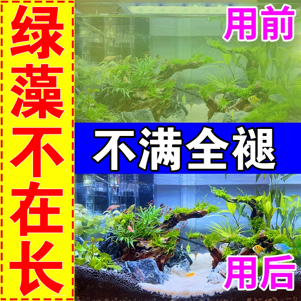 鱼缸除藻去苔剂去藻青苔不伤鱼除绿水褐藻黑毛藻戊二醛鱼缸除藻剂