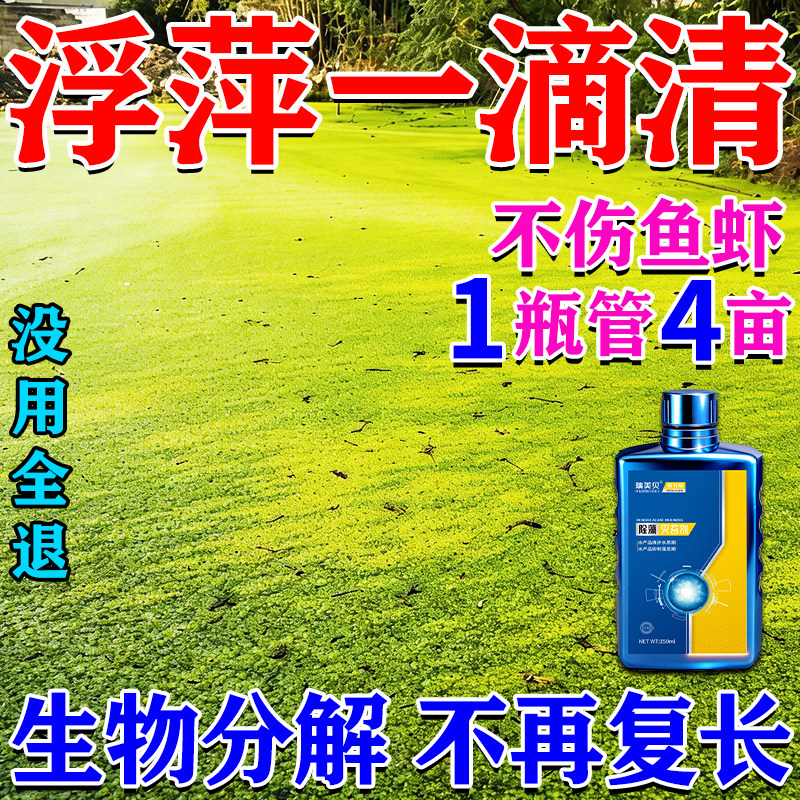 鱼池浮萍清除剂不伤鱼虾蟹免打捞除绿藻去青苔一扫光浮萍清理神器
